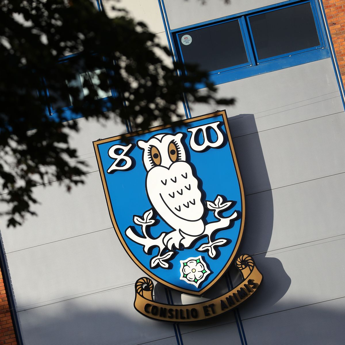 慘到不能再慘　謝周三遭降級並創聯賽紀錄